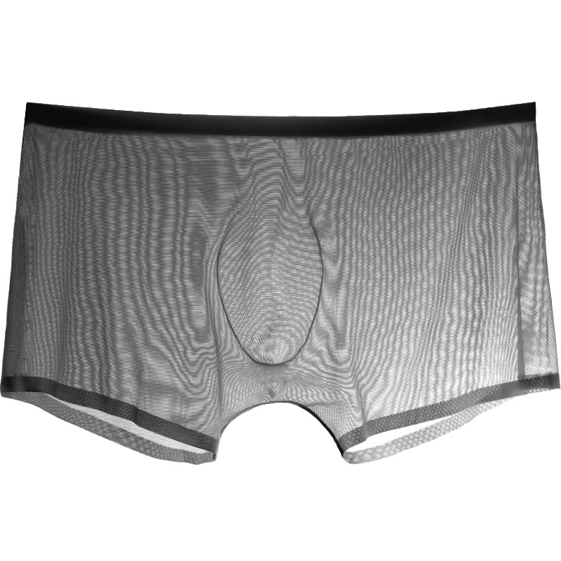 Trunk Breathable Men - Boxer homme slip sous-vêtements transparents pour