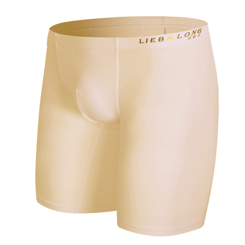 Long Leg Trunk Men - Boxer à sulfJambes pour Homme, Sous-Vêtements