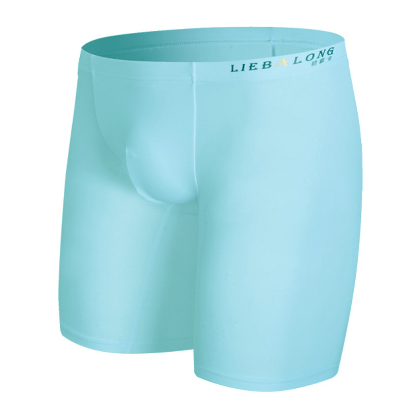 Boxer à sulfJambes pour Homme, - Long Leg Trunk Men avis et prix