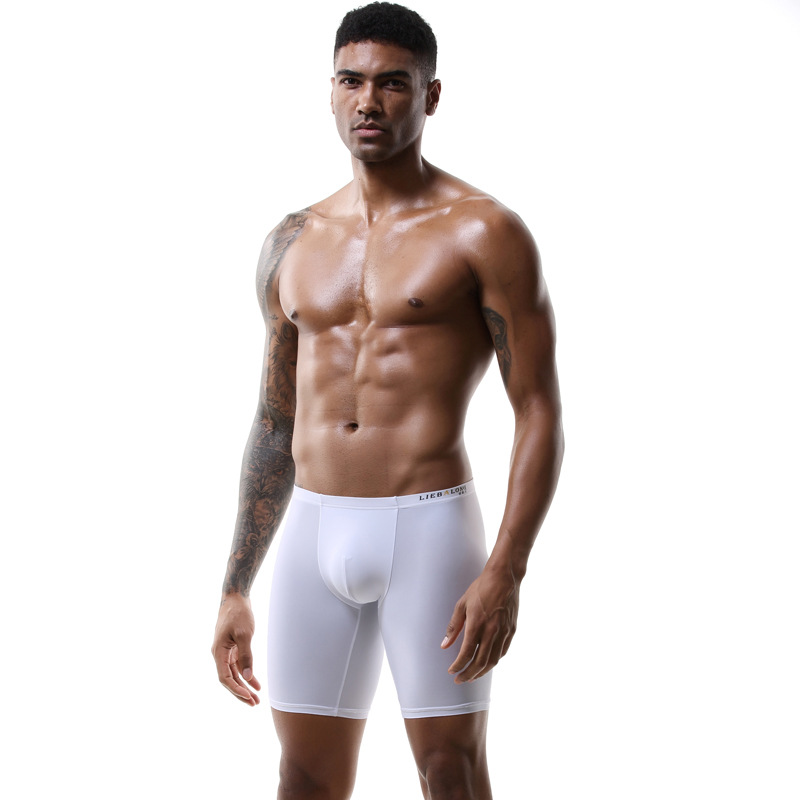 Boxer à sulfJambes pour Homme, - Long Leg Trunk Men avis et prix