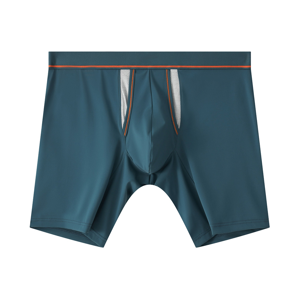 Caleçons de sport pour hommes  - Long Leg Trunk Men avis et prix