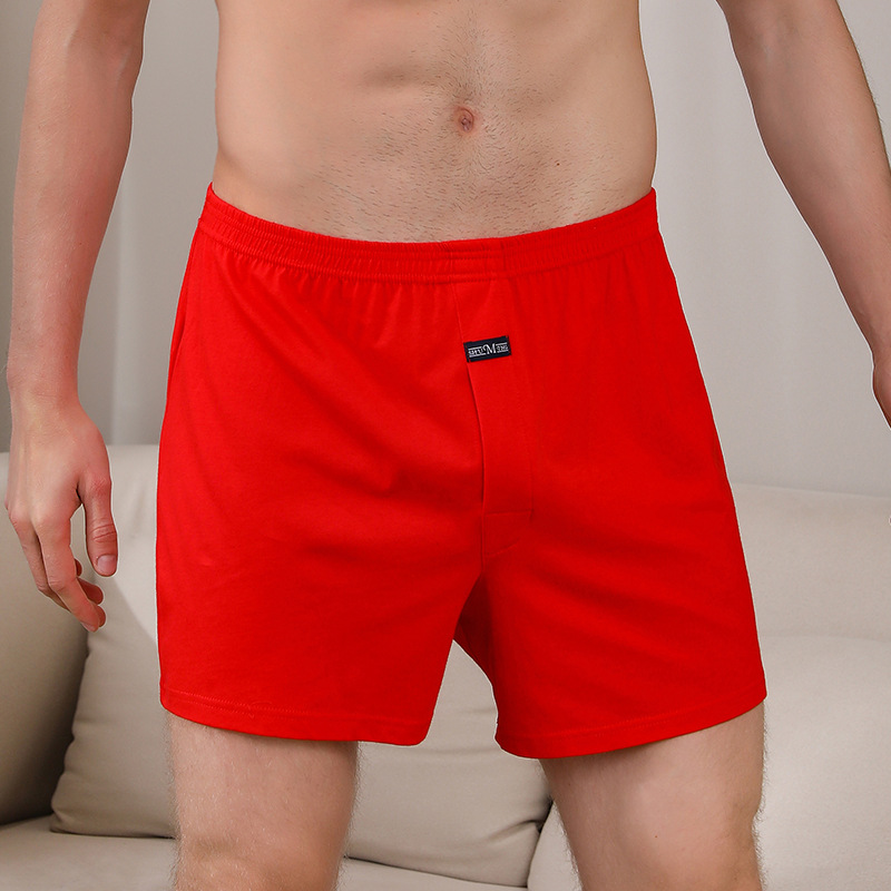 1 pièces sous-vêtements pour h - Boxer Brief Pack Cotton avis et prix