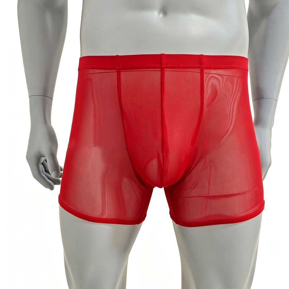 Boxer pour hommes en maille ul - Long Leg Trunk Men avis et prix