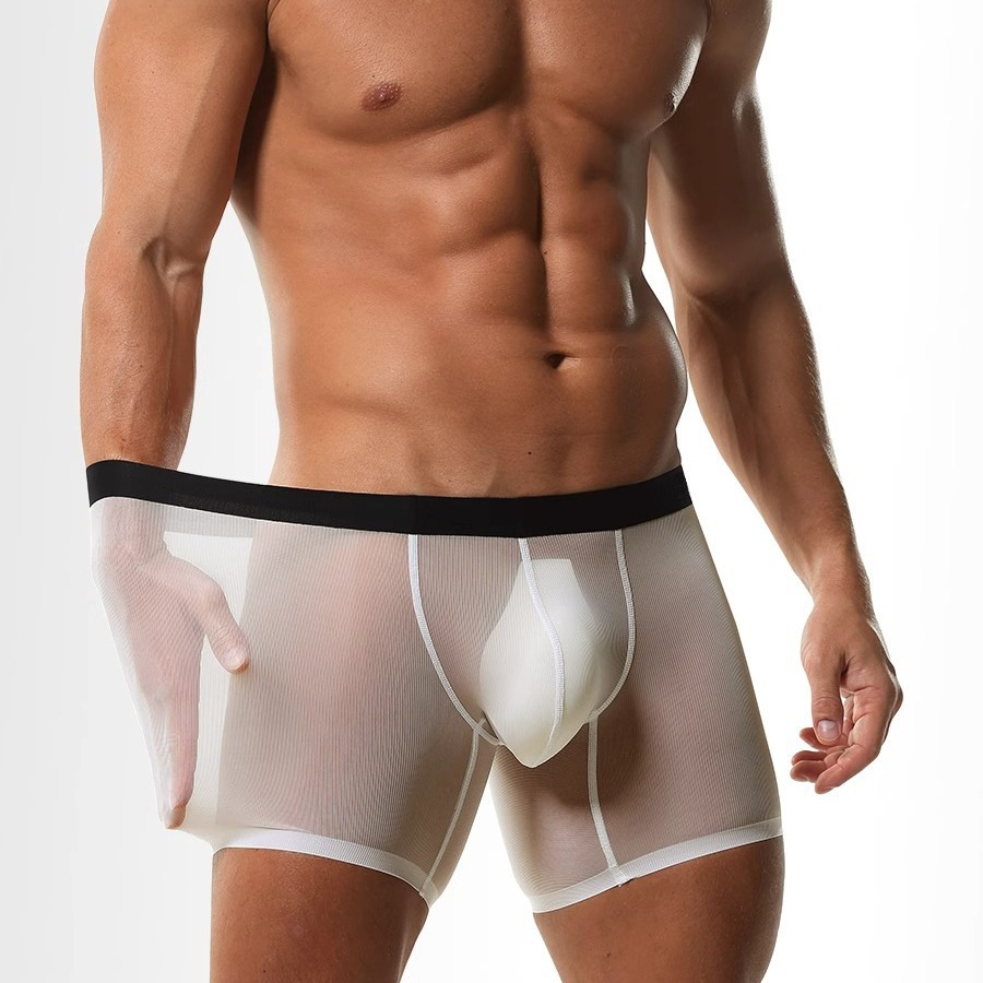 Boxer à jambes longues pour ho - Long Leg Trunk Men avis et prix