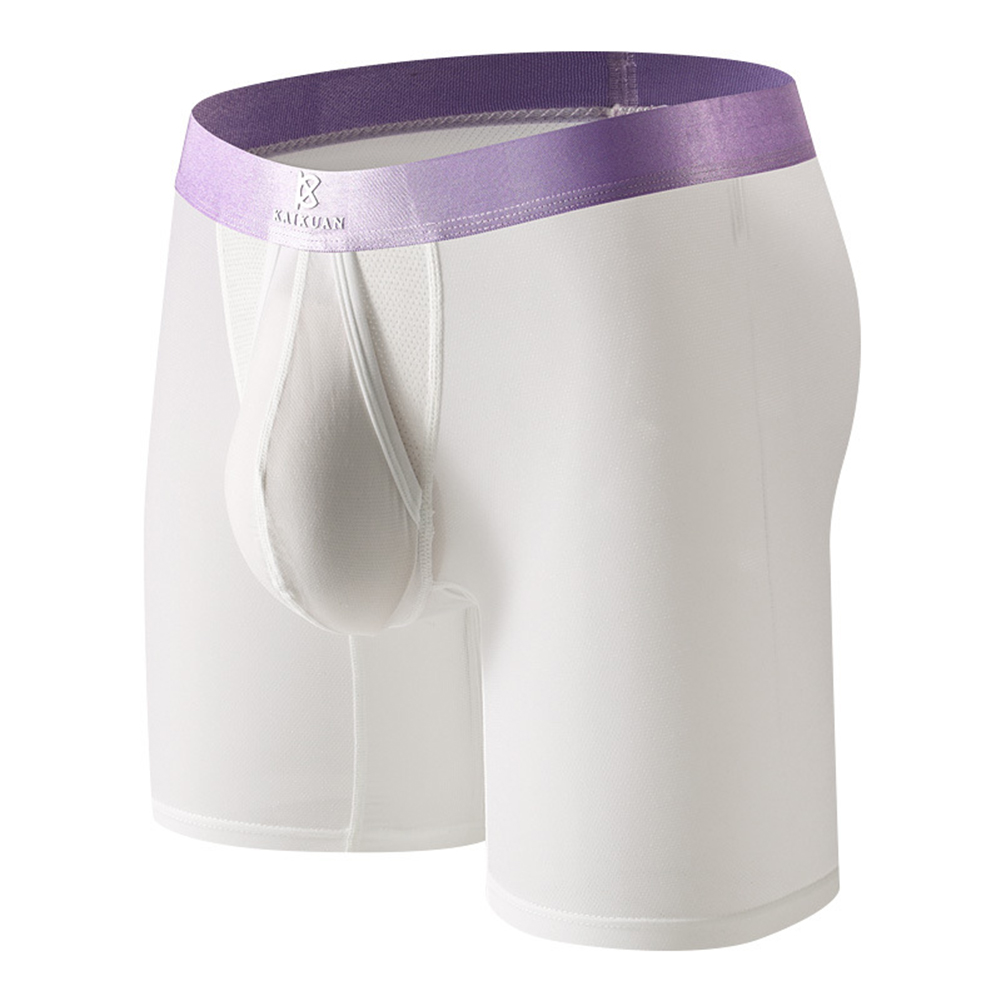 Fitness course hommes caleçon  - Long Leg Trunk Men avis et prix